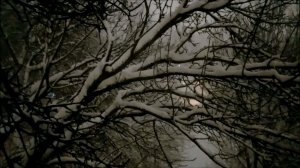 Ночной снегопад