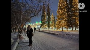 Зима в Ноаосибирске. С Новым годом!