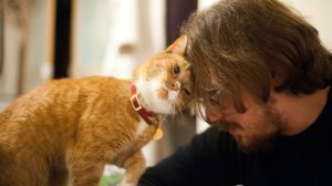 Люди которые разговаривают со своими питомцами нормальные или нет? #животные #психология #люди