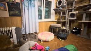 Мама, вы здесь лишняя, идите работайте, а мы с папой отдохнем после купания)