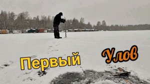 Первая зимняя рыбалка, открыл сезон!