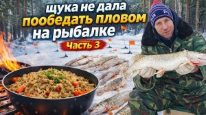 Зимняя рыбалка  2025-2026.Жерлицы. Рыбалка. Щука не дала пообедать пловом на рыбалке. Без монтажа. Ч