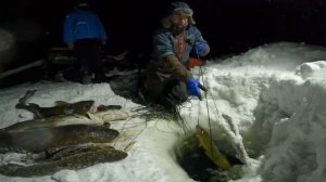 ПОЙМАЛИ ОГРОМНОГО НАЛИМА _ ПРЕДНОВОГОДНЯЯ ПРОВЕРКА С ПОМОЩНИКОМ _ ПЕРЕМЕТ 30.12.2025