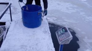 Зарыбление водоёма.