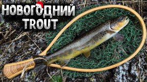 РЫБА СОШЛА С УМА! Зимняя рыбалка в шторм, попали на форелевую раздачу, поклевка на каждом забросе!