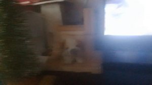 У ПИРОЖКА СВОЙ ПРАЗДНИК СЕГОДНЯ. НОВЫЙ ГОД 2026