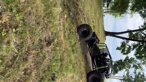 Гонки на баги