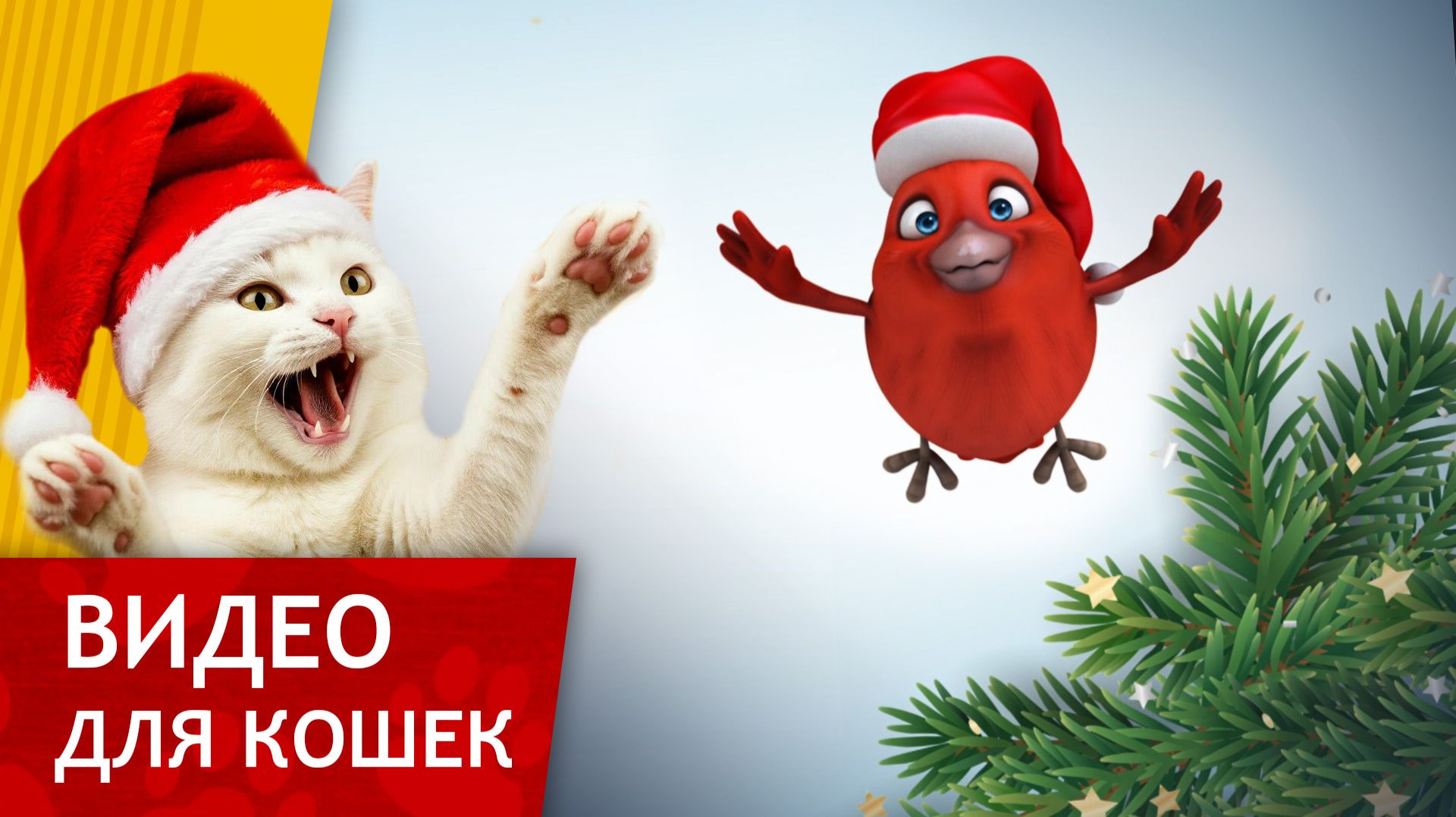 Видео для Кошек - Новогодняя Птичка (Развлеки своего кота) смотреть онлайн