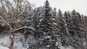 В Якутске авария оставила 23 дома без тепла при морозе -45 градусов