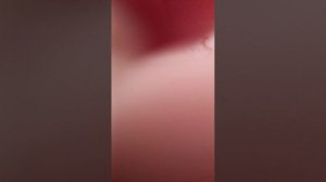 мега герлянда на елку