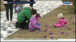 Новые законы изменят жизнь россиян с первого января