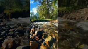 релакс,природа,красота.mp4