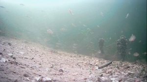 1000007022.mp4Волга гл.2м.31.12.2025г.