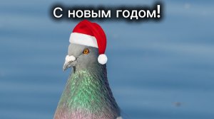 С НОВЫМ ГОДОМ ВСЕХ!