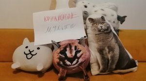 песня Буль Буль барабулька