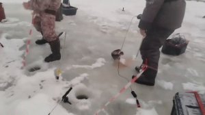 31.12.25 г. РК Волна.