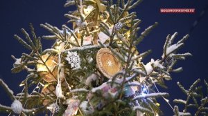 Про ёлочку на Спасской