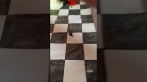 с новым годом ребята ☃️❄️🌲