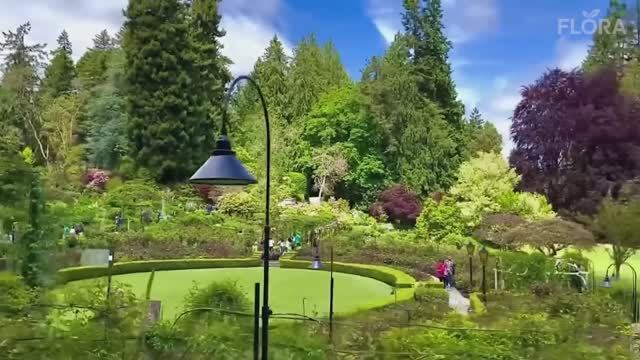 САМЫЕ ПРЕКРАСНЫЕ САДЫ МИРА 2025 смотреть онлайн