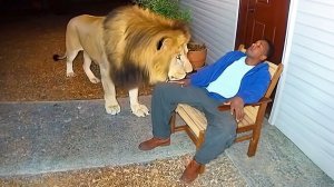 КОГДА ЖИВОТНЫЕ ВЫБИРАЮТ СВОИХ ХОЗЯЕВ. САМЫЕ СМЕШНЫЕ ВИДЕО 2025 ГОДА