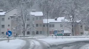 1000010209.mp4🌲🎁🌲С НОВЫМ ГОДОМ, ДРУЗЬЯ 🌲🎁🌲