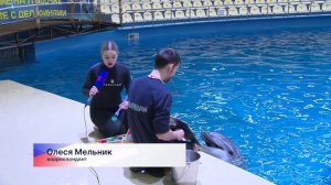 Как братья наши меньшие готовятся встретить Новый год?