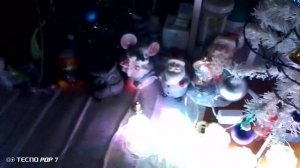 С наступающим новым годом!!!🎄