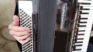 Аккордеон Вельтмейстер 7 8 детский ученический +79373651154
