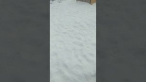 предпраздничный эфир