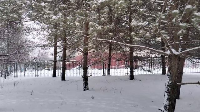 А я с утра в бассейн😄Посмотрите,сколько снега!!!🌨️ смотреть онлайн