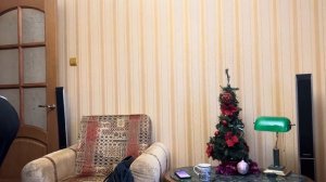 Салатики, прогулка с мамой и новогоднее настроение»