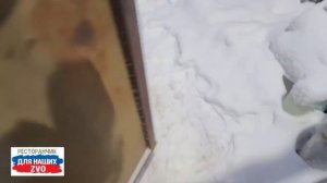 А мы продолжаем сборы ребят. Передаём заботу и тепло от вас.  https://t.me/restorandlyanashix