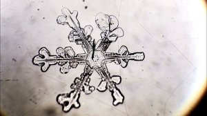 6 января - Лунное зеркало. Как изменить судьбу.