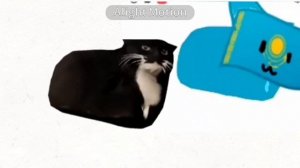 ну короч, теперь я кот🇰🇿😺 мяу