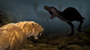 Что Произошло, Когда Столкнулись Два Континента