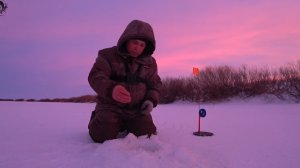 Пред новогодняя рыбалка на старице подарила трофейчика.