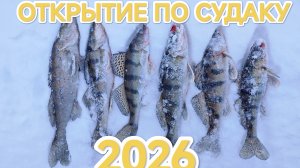 «Лёд встал — пора за клыкастыми! Судак и берш на реке»