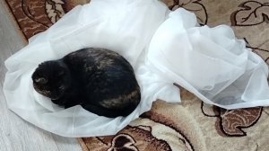 В Новый год с новыми шторами😀 Влог.