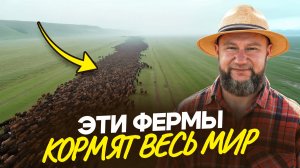 7 самых БОЛЬШИХ ферм в мире! Кто выращивает еду, которую ты покупаешь каждый день?