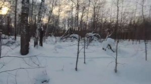 ОХОТА НА ЗАЙЦА 31 ДЕКАБРЯ 2025