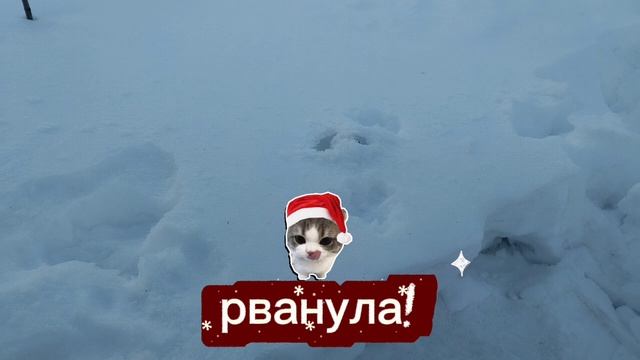 БОМБА!
