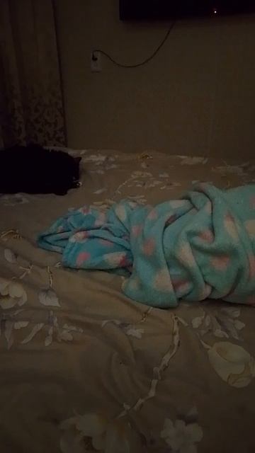 scene_output.mp4 смотреть онлайн