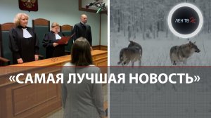 "Самая лучшая новость" | Комментаторы грозят Финляндии медведями, а Долиной предлагают корыто