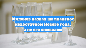 Милонов назвал шампанское недостатком Нового года, а не его символом