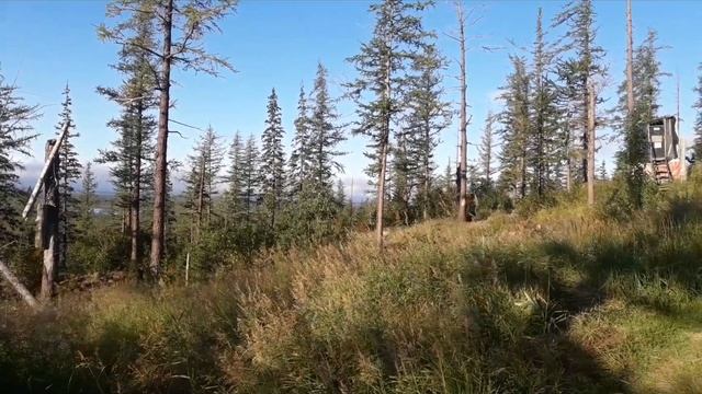 Былое время Н.П.Р Тундра смотреть онлайн