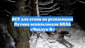 Минобороны показало видео со сбитым дроном, летевшим в сторону резиденции Путина