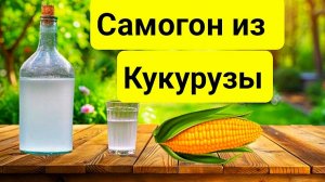 САМОГОН ИЗ КУКУРУЗЫ В ДОМАШНИХ УСЛОВИЯХ. Самый Простой Рецепт