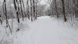 Зимняя прогулка - (3)