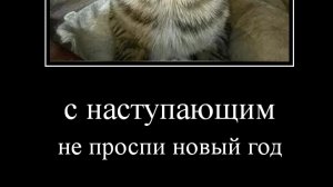 куплинов новый год" до нового года осталось не знаю сколько часов"           и да извените нг серии