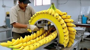 30 минут работы потрясающего оборудования непрерывного производства и самые замечательные работники